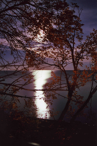 moonlight on lake