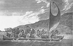 polynesian navigators